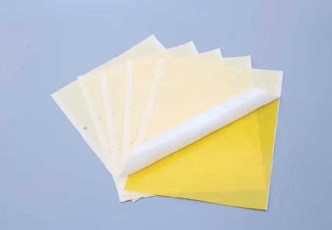 實(shí)蠅粘膠板